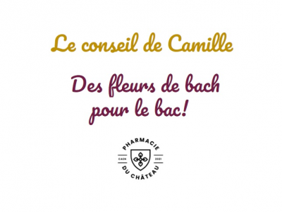 Illustration Le conseil de Camille 